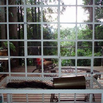 B&B Vitoria Regia Рио-де-Жанейро Экстерьер фото